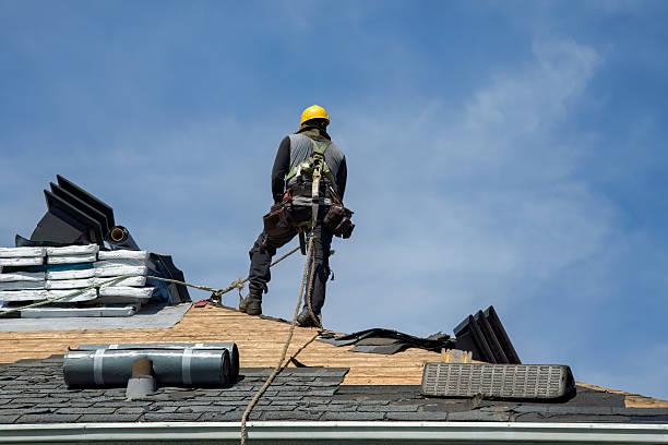 Professional Roofing technician working in Martin City, MT